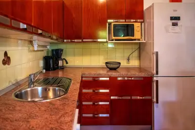Kuhinja ili čajna kuhinja u objektu Vacation House on island Brac - Leona