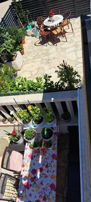 Balkon ili terasa u objektu Apartments Villa Bella Vista Hvar