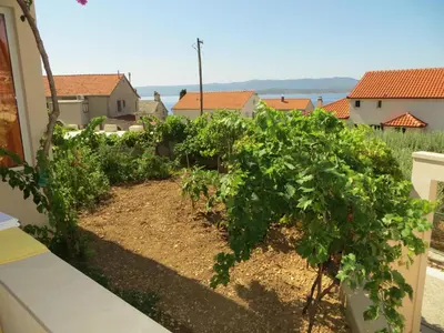 Priroda u blizini apartmana