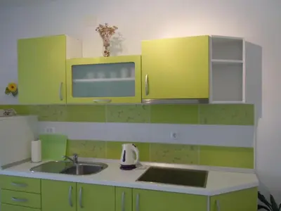 Kuhinja ili čajna kuhinja u objektu Apartment Sveta Nedilja 13753e