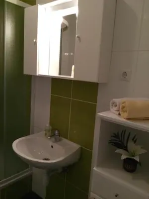 Kupaonica u objektu Apartment Sveta Nedilja 13753e