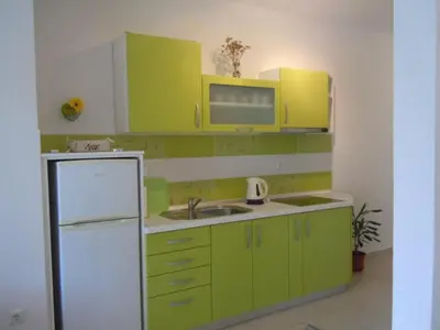 Kuhinja ili čajna kuhinja u objektu Apartment Sveta Nedilja 13753e