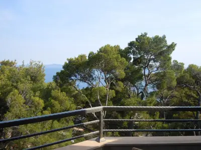 Priroda u blizini apartmana