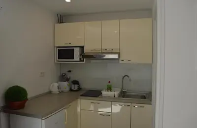 Kuhinja ili čajna kuhinja u objektu Apartments Lea
