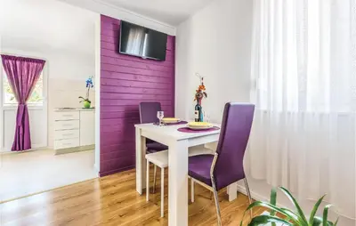 TV i/ili zabavni centar u objektu One-Bedroom Apartment In Ostrvica
