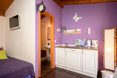 Kuhinja ili čajna kuhinja u objektu Spacious House with Private Pool in Stari Grad