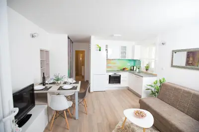 Kuhinja ili čajna kuhinja u objektu Apartman Roza