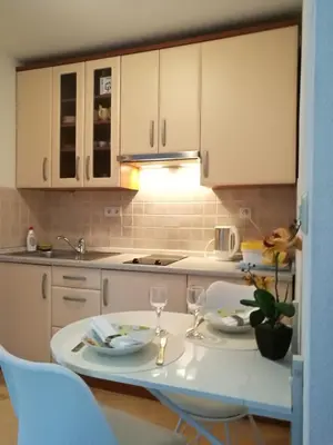 Kuhinja ili čajna kuhinja u objektu Studios Bilonic