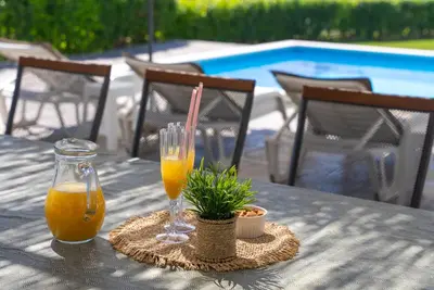 Pića u objektu Modern apartment with private pool near Split