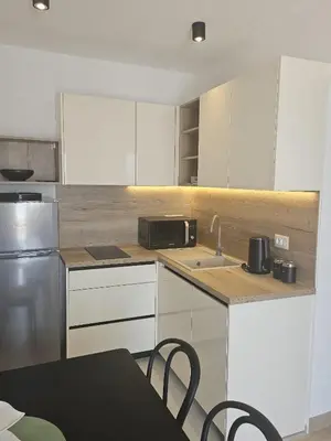 Kuhinja ili čajna kuhinja u objektu Apartments Lusi