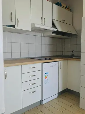 Kuhinja ili čajna kuhinja u objektu Markota Apartment