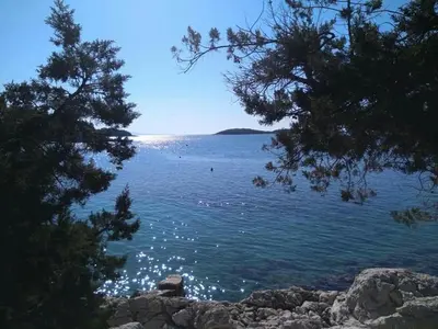 Priroda u blizini apartmana