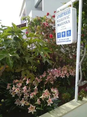 Vrt u objektu Apartmani Marinka Viskovic