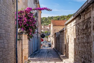 Okolica apartmana ili susjedstvo u blizini