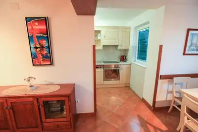 Kuhinja ili čajna kuhinja u objektu Villa Maja