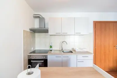 Kuhinja ili čajna kuhinja u objektu Apartment Budimir