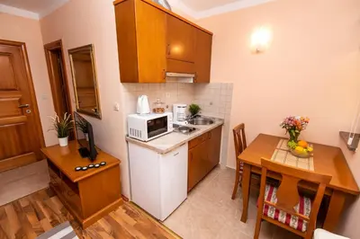 Kuhinja ili čajna kuhinja u objektu Antonio apartmani