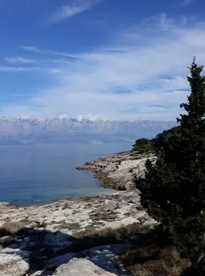 Priroda u blizini apartmana
