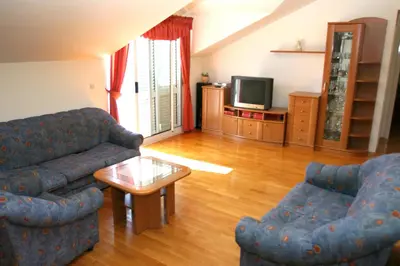 TV i/ili zabavni centar u objektu Apartments Zoran