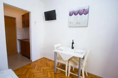 TV i/ili zabavni centar u objektu Apartments Zoran