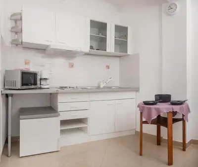 Kuhinja ili čajna kuhinja u objektu Apartment Kristina Dujmovic