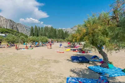 Priroda u blizini apartmana