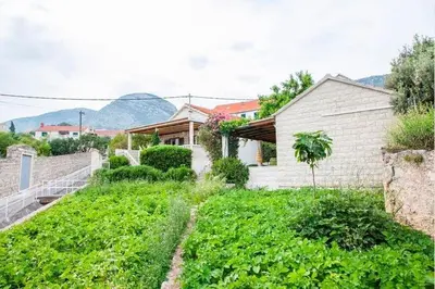 Pogled na planine ili pogled na planine iz apartmana