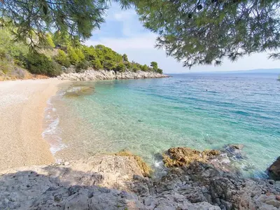 Priroda u blizini vila