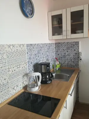 Kuhinja ili čajna kuhinja u objektu Guest house Irena