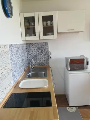 Kuhinja ili čajna kuhinja u objektu Guest house Irena