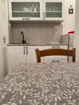 Kuhinja ili čajna kuhinja u objektu Apartmani Tina
