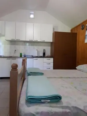 Kuhinja ili čajna kuhinja u objektu House Lidija