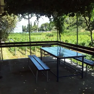 House Lidija