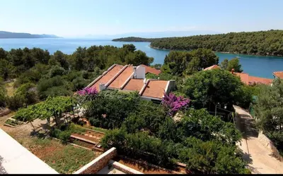 Priroda u blizini apartmana