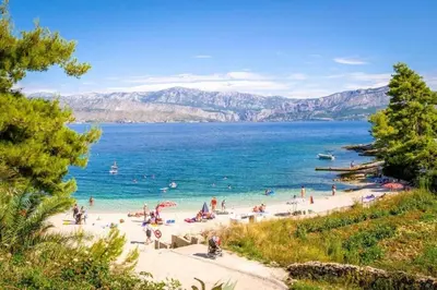 Priroda u blizini apartmana