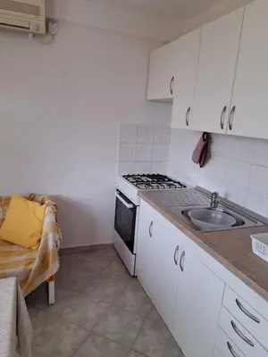 Kuhinja ili čajna kuhinja u objektu Apartment Jela