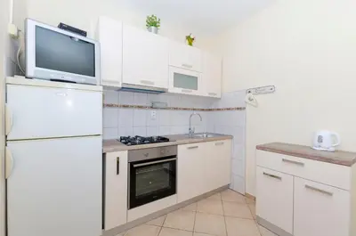 Kuhinja ili čajna kuhinja u objektu Apartments Caric