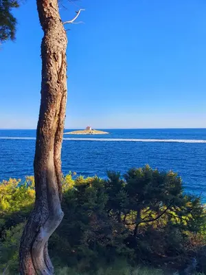 Priroda u blizini apartmana