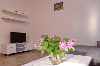 TV i/ili zabavni centar u objektu Apartment Mediteran