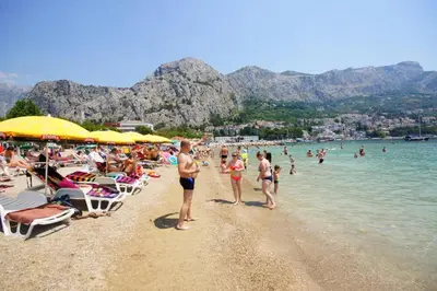 Priroda u blizini vikendica