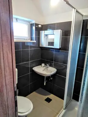 Kupaonica u objektu Apartments with parking space Sumartin, Brac - 11926