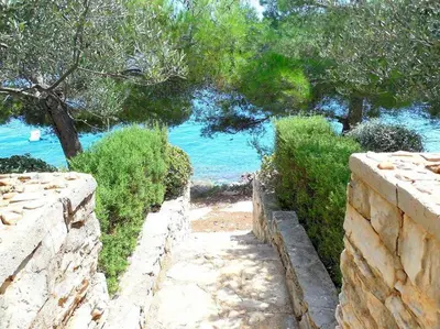 Tlocrt objekta Apartments by the sea Cove Gornja Krusica, Solta - 14696