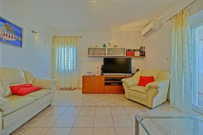 TV i/ili zabavni centar u objektu Apartmani Vila Nela