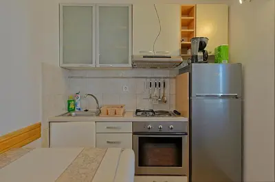 Kuhinja ili čajna kuhinja u objektu Apartmani Vila Nela
