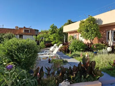 Vrt u objektu Villa Luketa