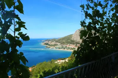 Priroda u blizini apartmana