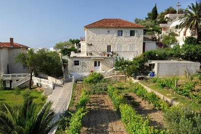 Vrt u objektu Apartments Olive Tree