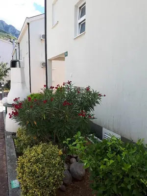 Vrt u objektu Apartman Adriatic Sea