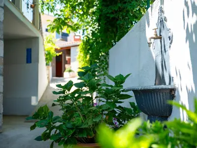 Vrt u objektu Apartments by the sea Postira, Brac - 14822