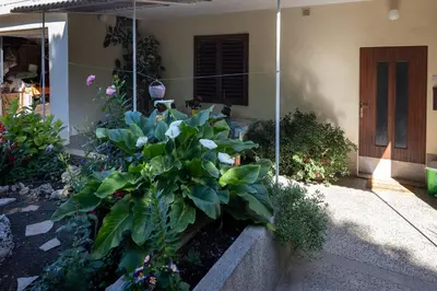 Vrt u objektu Rooms with a parking space Stari Grad, Hvar - 14831